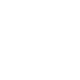 國網(wǎng)專題